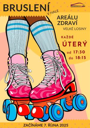 bruslení na ledě
